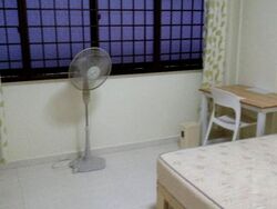 Blk 899B Woodlands Drive 50 (Woodlands), HDB 4 Rooms #558791711
